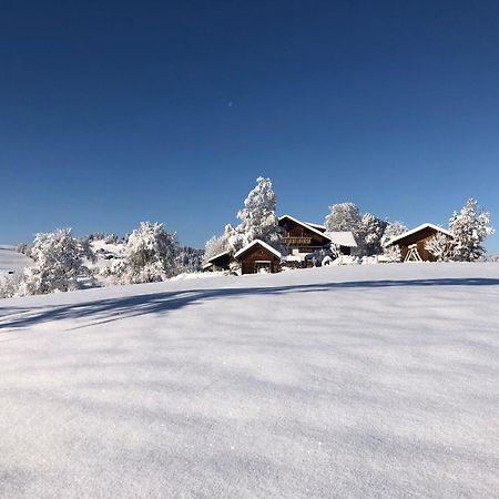Ferienwohnung Aigisblick Mit Pool Und Sauna, Direkt Am Skihang Missen-Wilhams Εξωτερικό φωτογραφία